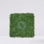 Placa De Seto Boj 50X50CM
