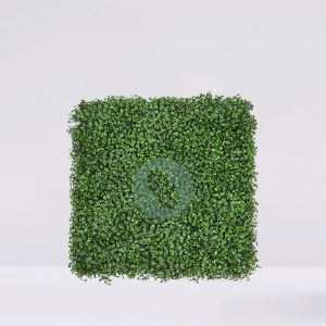 Placa De Seto Boj 50X50CM