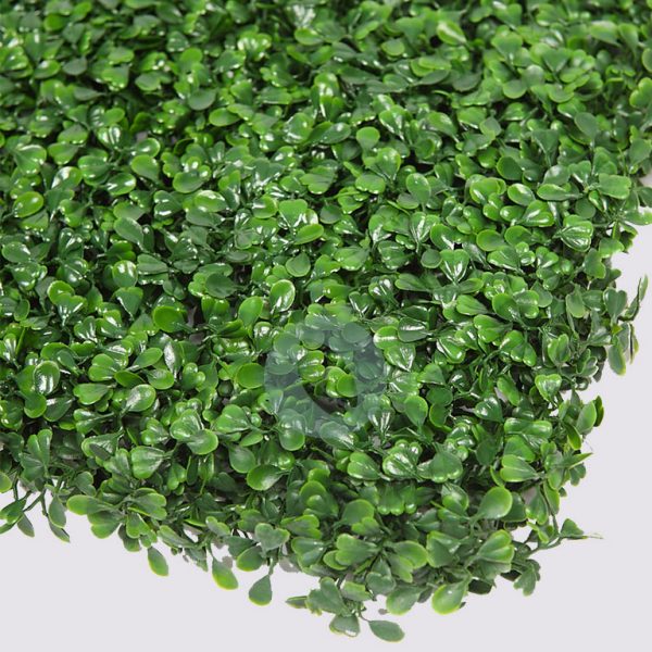 Placa De Seto Boj 50X50CM - Imagen 2