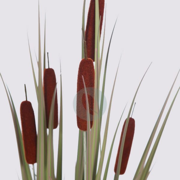 12318.03_3.jpg Planta Typha Purito Artificial 100Cm - Imagen 3