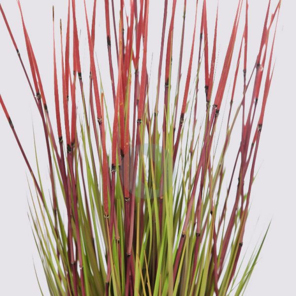 Planta De Juncos Rio Artificial 85CM - Imagen 3