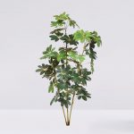 Cheflera X3 Verde 152Cm