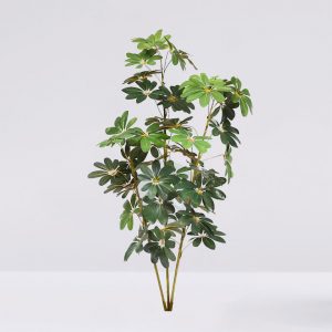 Cheflera X3 Verde 152Cm