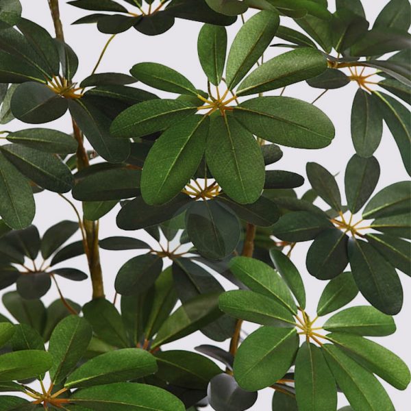 Cheflera X3 Verde 152Cm - Imagen 2