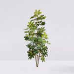 Cheflera Artificial 153Cm