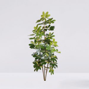 Cheflera Artificial 153Cm