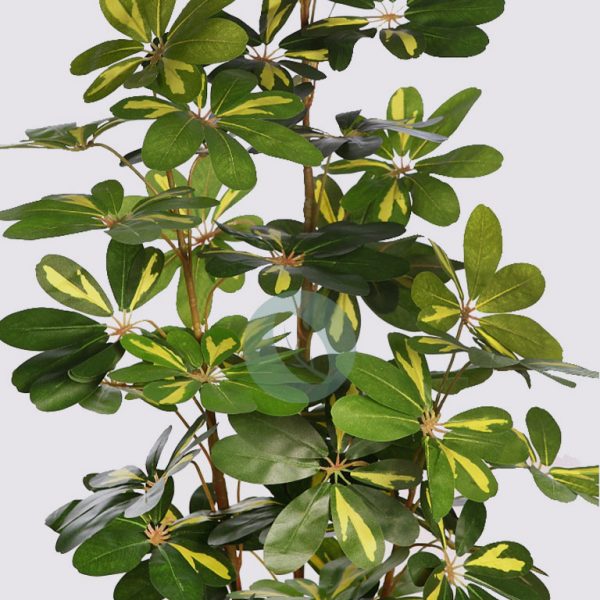 Cheflera Artificial 153Cm - Imagen 3