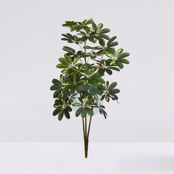 14829.jpg Planta Cheflera X3 120Cm - Imagen 1