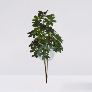 Planta Cheflera X3 122Cm