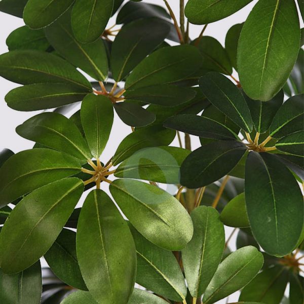 Planta Cheflera X3 122Cm - Imagen 2