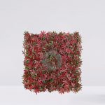 Placa Aralia Roja 50X50Cm