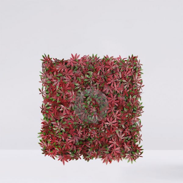 188005D.jpg Placa Aralia Roja 50X50Cm - Imagen 1