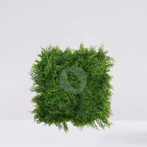 Placa Plantas Helechos 50X50Cm