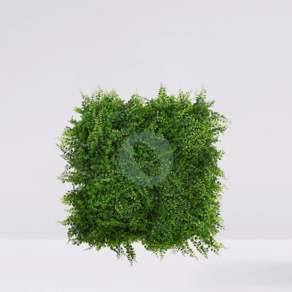 Placa Plantas Helechos 50X50Cm - Imagen 1