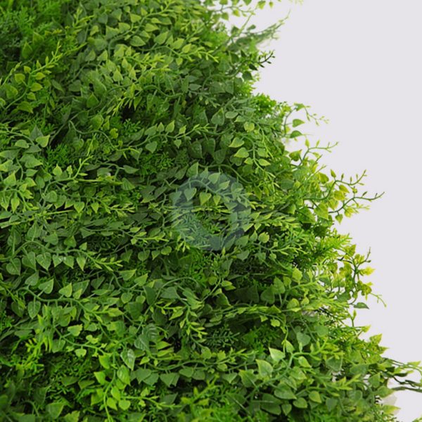 Placa Plantas Helechos 50X50Cm - Imagen 2