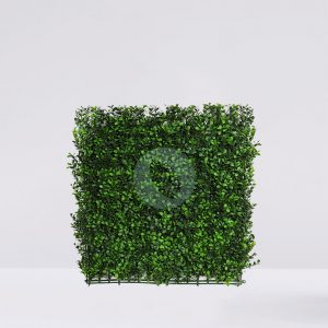 Placa Boj Largo 50X50Cm