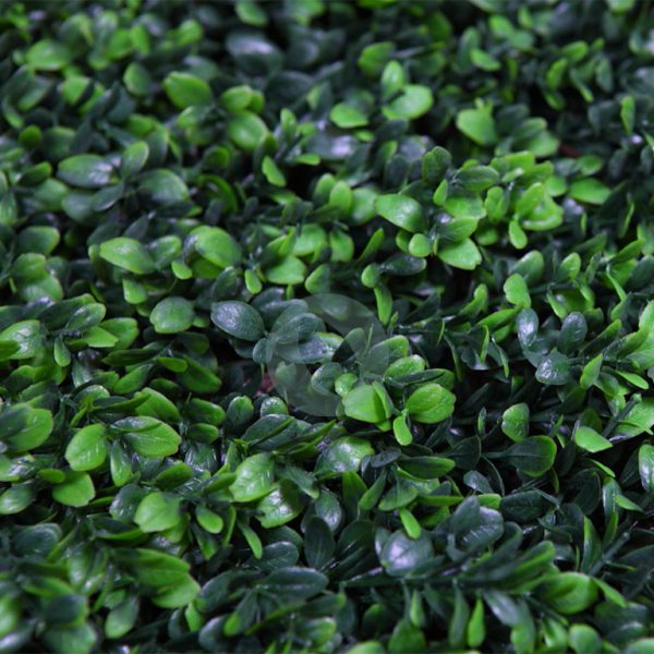 Placa Boj Largo 50X50Cm - Imagen 2