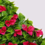 Manto Flores Buganvilla Artificial 100X100Cm - Imagen 3