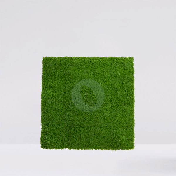188062A.jpg Jardin Musgo Liquen Artificial 100X100Cm - Imagen 1