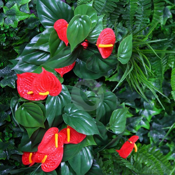 189006_2.jpg Jardin Vertical Anthurium 100X100Cm - Imagen 2
