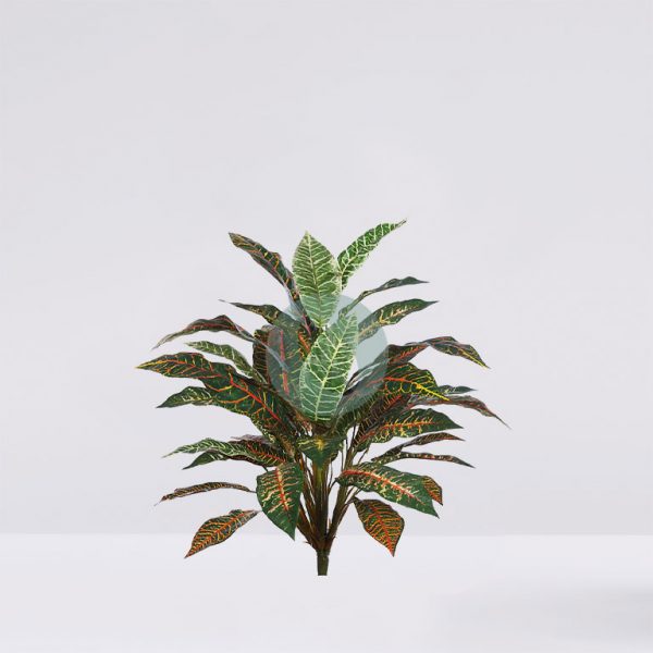 Planta Croton  70Cm - Imagen 1