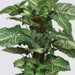 Maceta Tutor Singonio Artificial X 78, 92 Cm - Imagen 2