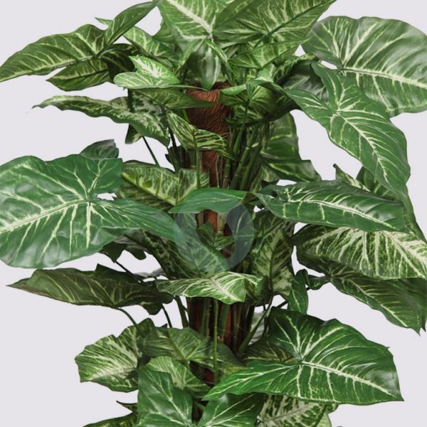 Maceta Tutor Singonio Artificial X 78, 92 Cm - Imagen 2