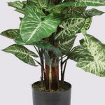 Maceta Tutor Singonio Artificial X 78, 92 Cm - Imagen 3