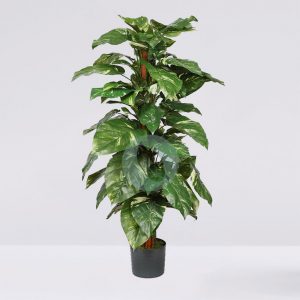 Poto Tutor Artificial X 110 122 Cm