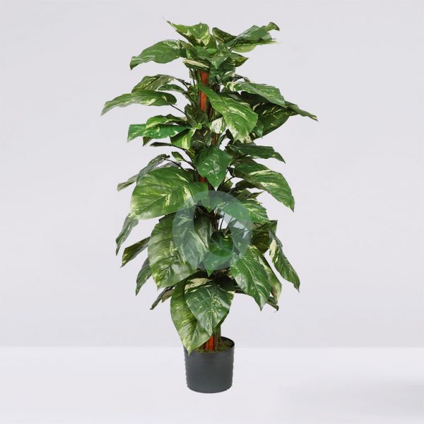 Poto Tutor Artificial X 110 122 Cm - Imagen 1