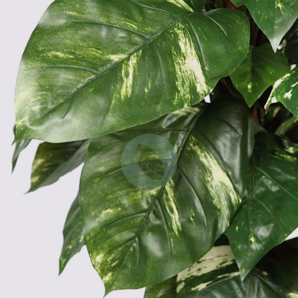 Poto Tutor Artificial X 110 122 Cm - Imagen 2