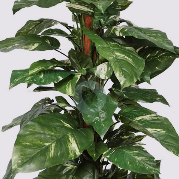 Poto Tutor Artificial X 110 122 Cm - Imagen 3