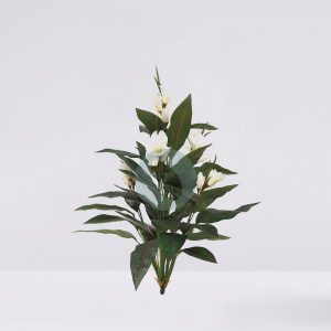 Planta Cana Musa 107Cm