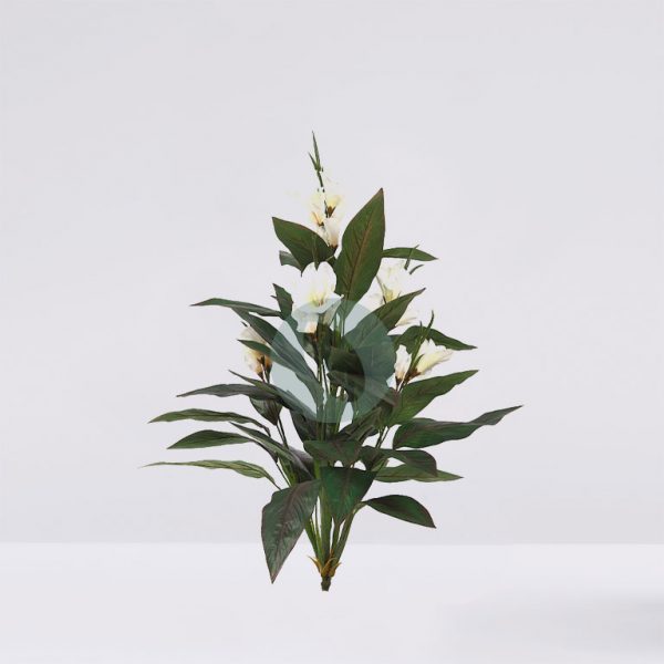 24090.02.jpg Planta Cana Musa 107Cm - Imagen 1