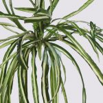 Planta De Cinta Colgante Artificial 55 Cm - Imagen 2