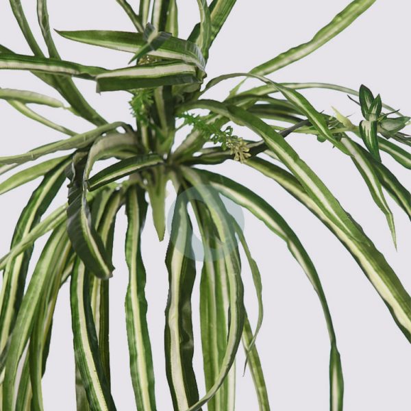 Planta De Cinta Colgante Artificial  55 Cm - Imagen 2