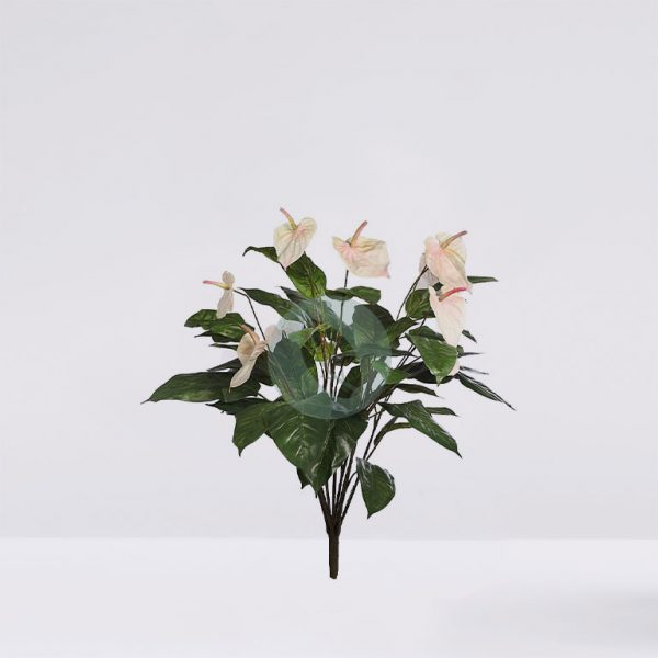 31632.06.jpg Planta Anturio 85CM - Imagen 1