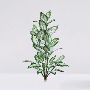 Difembachea Golden Artificial X9 120Cm