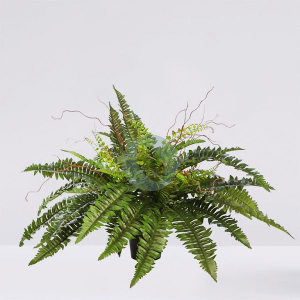 34808M.jpg HELECHO CON BROTES EN MACETA ø 84CM - Imagen 1