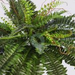 HELECHO CON BROTES EN MACETA ø 84CM - Imagen 2