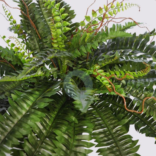 HELECHO CON BROTES EN MACETA ø 84CM - Imagen 2