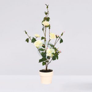 MACETA ROSAL 78CM