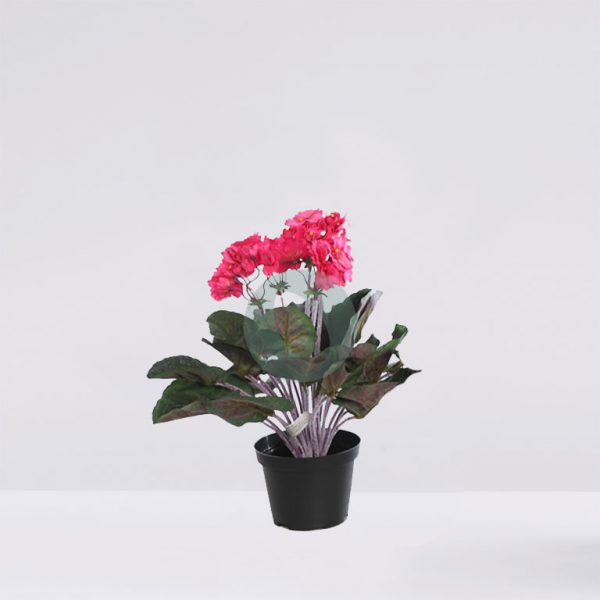 49164M.05.jpg Violeta Africana Con Maceta 36Cm - Imagen 1