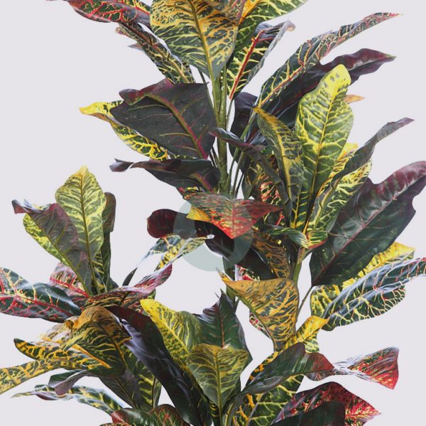 Planta Croton Artificial 122Cm - Imagen 2
