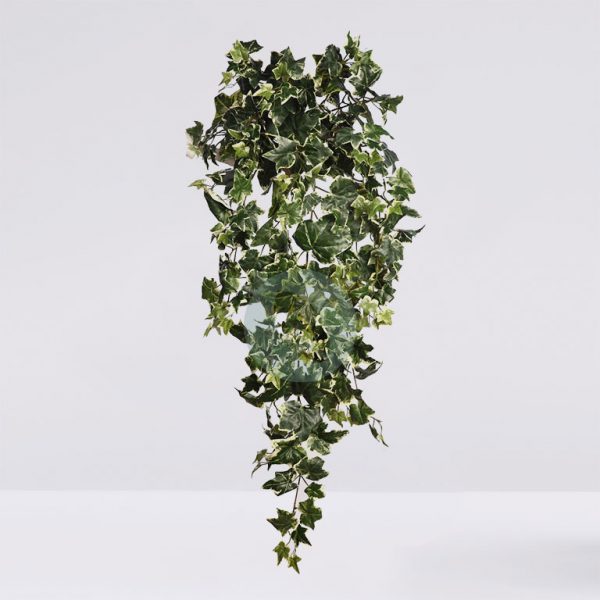 49181.jpg Mata Hiedra Artifical Colgante X 12 100Cm - Imagen 1