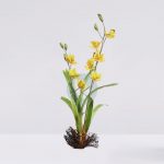 Vara Orquidea Saten 78Cm