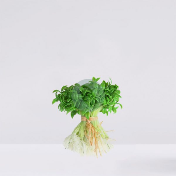 56364.jpg MANOJO CON RAICES ARTIFICIAL 15CM - Imagen 1