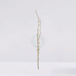 Vara Rama Pusiwillow Artificial 124Cm