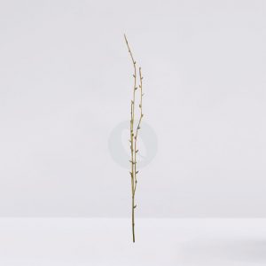 Vara Rama Pusiwillow Artificial 124Cm