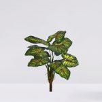 PLANTA CALADIUM 51CM